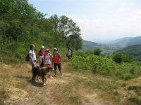 Entre Monts et Vignoble Beaujolais, balade avec un guide de pays !